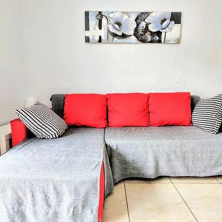 Floritas 20-3 * 플라야데라스아메리카스